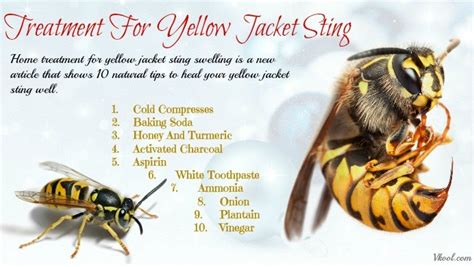 How does a yellow jacket sting feel?