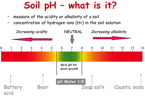 How does ammonia affect the pH of soil?