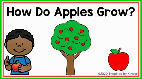 How does an Apple family work?