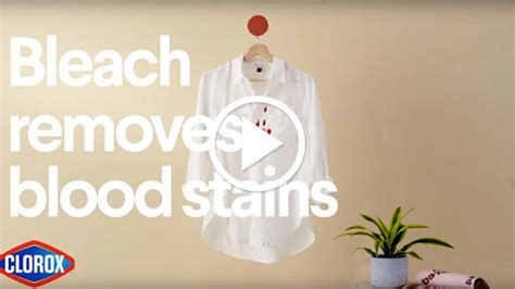 How does bleach remove blood stains?