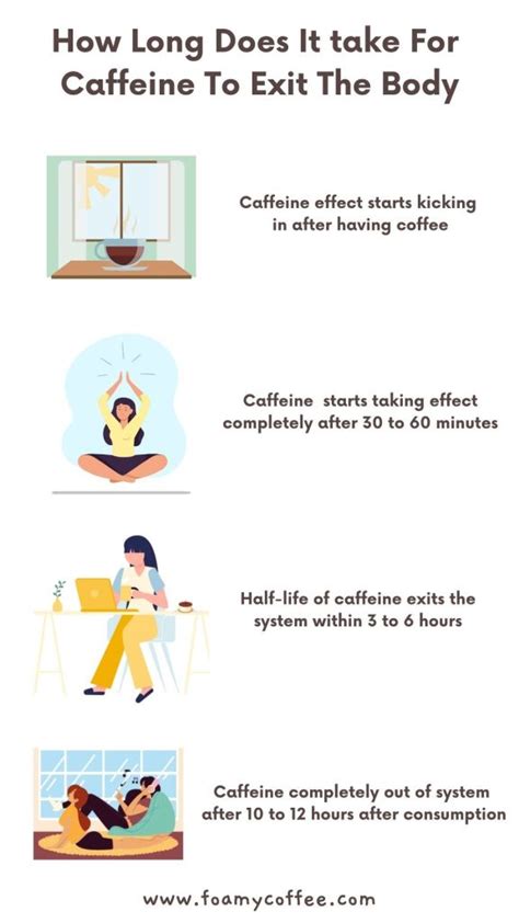 How does caffeine exit the body?