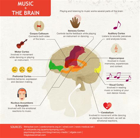 How does classical music affect the brain while studying?