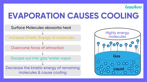 How does cold water evaporate?
