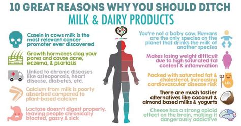 How does dairy affect hair?