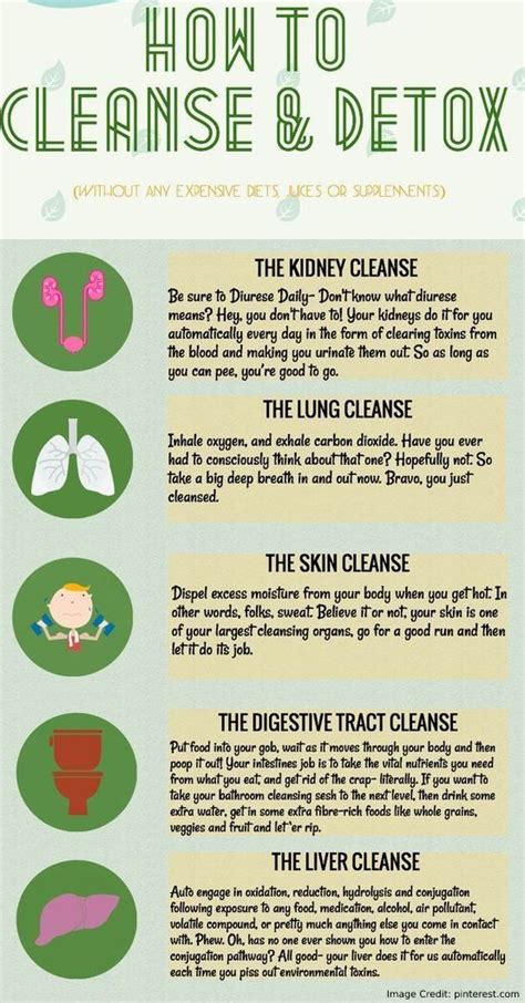 How does detox clean your body?