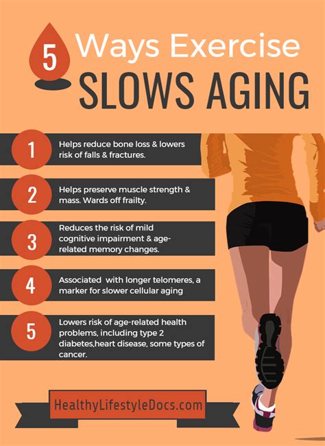How does exercise slow aging?