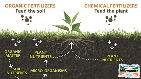 How does fertilizer affect soil?