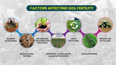 How does fertilizer destroy soil fertility?