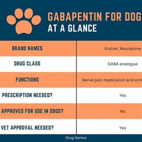 How does gabapentin make cats act?