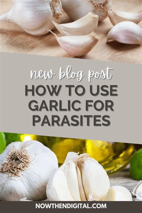 How does garlic kill tapeworm?