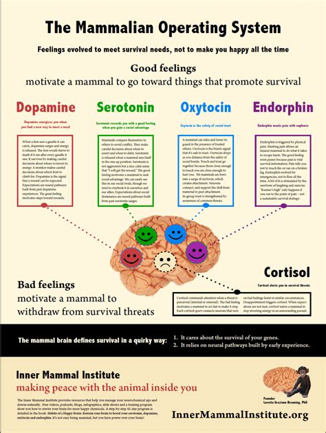 How does happiness affect learning?