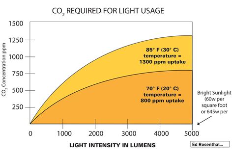 How does light affect CO2 levels?