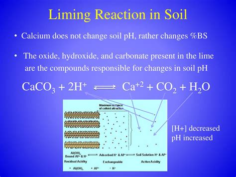How does liming affect soil pH?