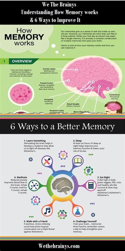 How does memory work scientifically?