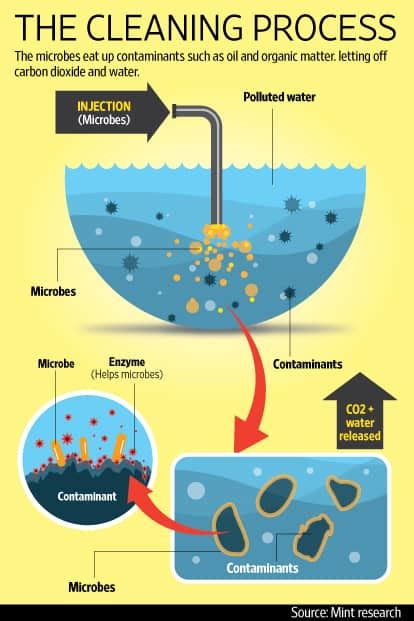 How does oil inhibit bacteria?