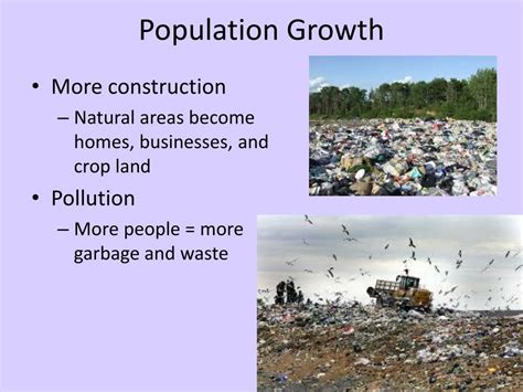 How does population affect the environment?