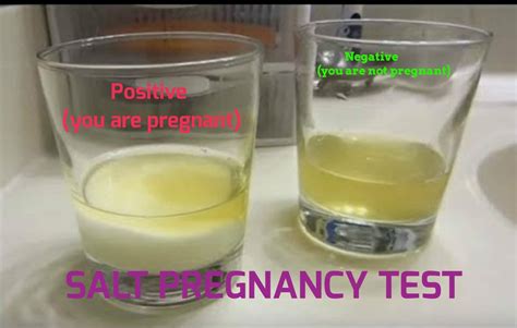 How does pregnancy urine look like?