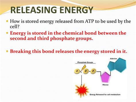 How does releasing energy work?
