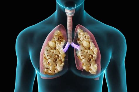 How does steam affect the lungs?