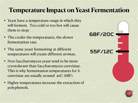 How does temperature affect yeast?