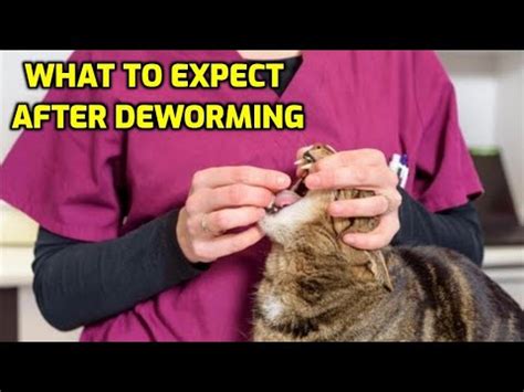 How does the body feel after deworming?