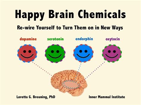 How does the brain react to happiness?