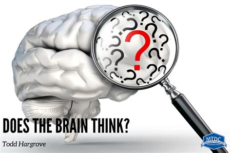 How does the brain think?