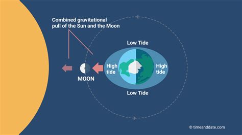 How does the moon affect gender?