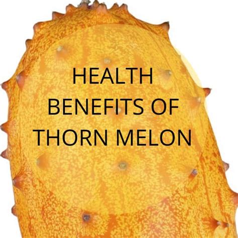 How does thorn melon help during pregnancy?