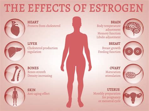 How does vitamin C affect female hormones?