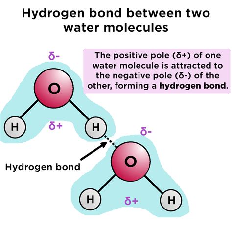 How does water break bonds?