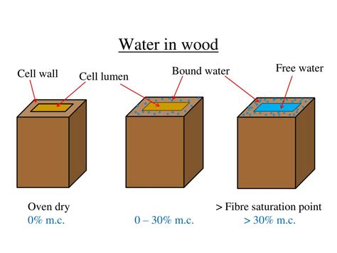 How does wood react to water?