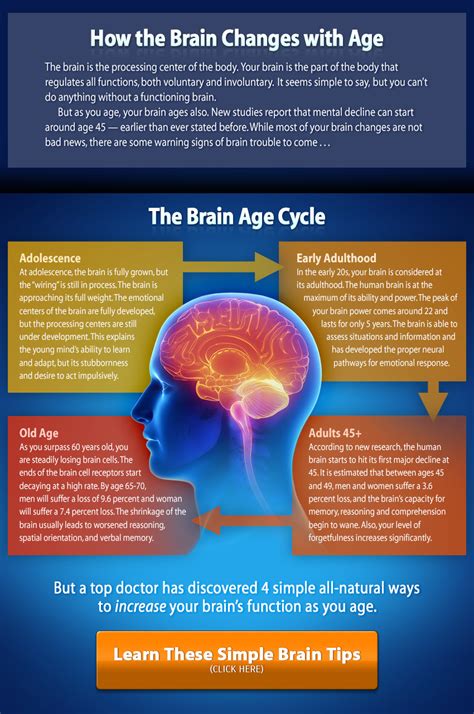 How does your brain change at 24?