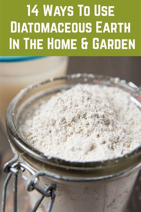 How effective is diatomaceous earth?