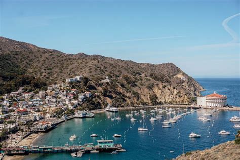 How expensive is Catalina?