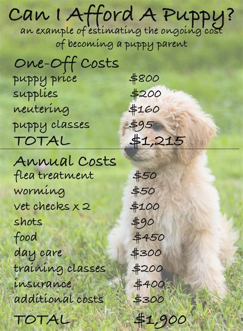 How expensive is a dog per month?