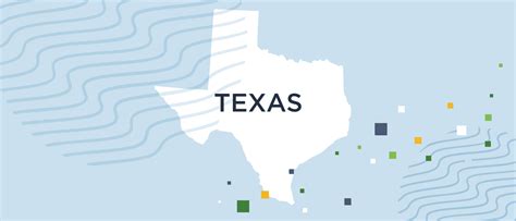 How far can background checks go in Texas?