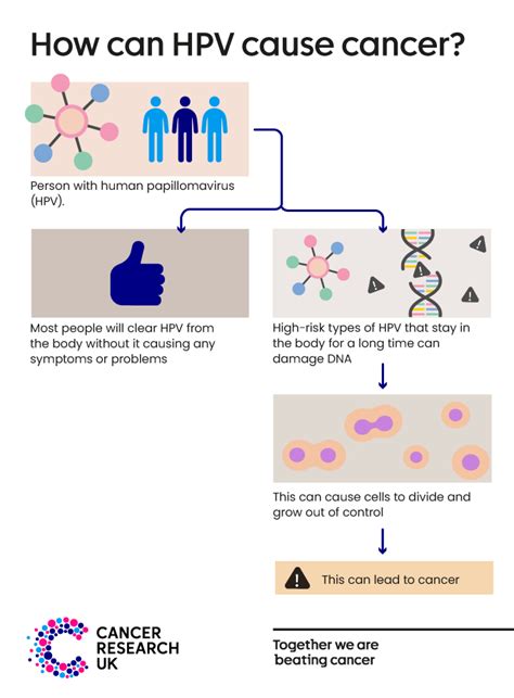 How fast can HPV cause cancer?