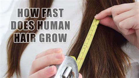 How fast can human hair grow?