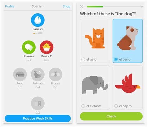 How fast can you finish Duolingo?