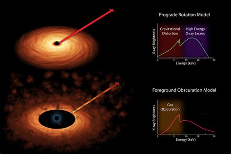 How fast do black holes move?