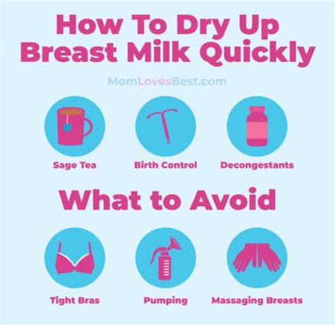 How fast do breasts refill with milk?