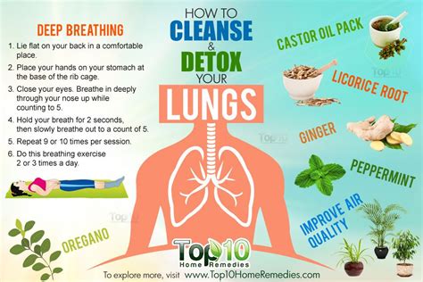 How fast do lungs clean?