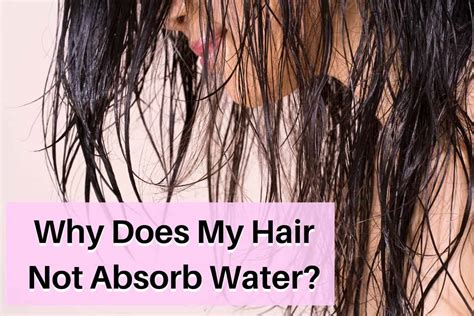 How fast does hair absorb oil?