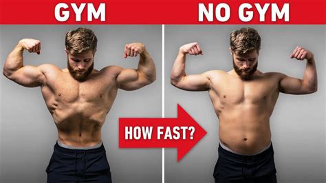How fast does muscle come back?