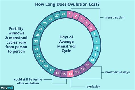 How fertile is a 30 year old?