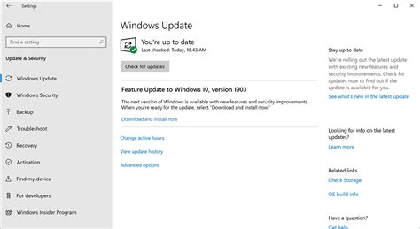 How frequent are Windows updates?