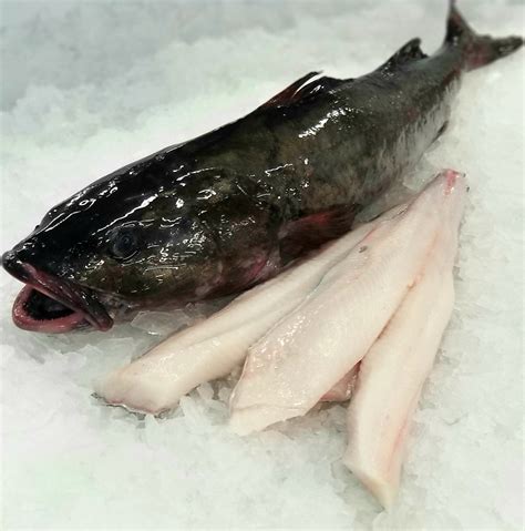 How good is black cod?