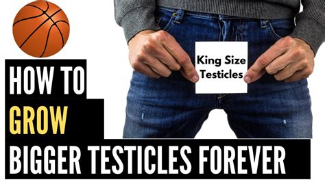 How heavy is the average testicle?