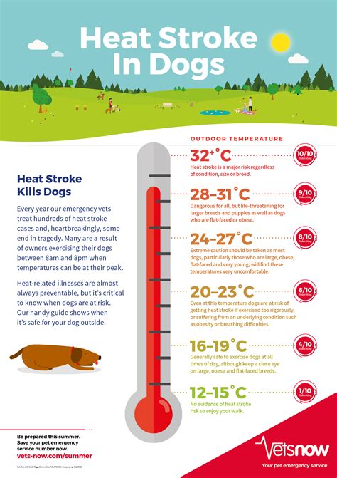 How hot is OK for dogs?